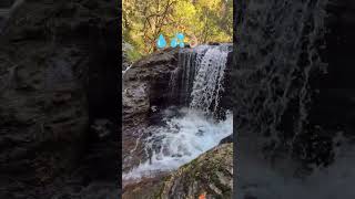 Annice Falls Oregonwater waterfall waterfalls watersounds youtubeshort shorts adventure [upl. by Rosena]