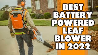 BEST Battery Leaf Blowers in 2023 Everything You Need To Know [upl. by Aivuy386]