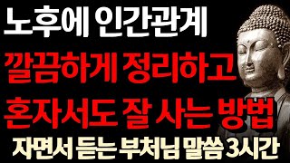 나이들어서 인간관계 다 정리하고도 혼자 잘 사는 사람들의 공통점  자면서 듣는 부처님 말씀 I 노후의 마음가짐  삶의 지혜 I 인생 조언 I 격언 I 오디오북 I 철학 [upl. by Morrill179]