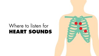 Where to listen for Heart Sounds Auscultory Areas  MEDZCOOL [upl. by Anreval]