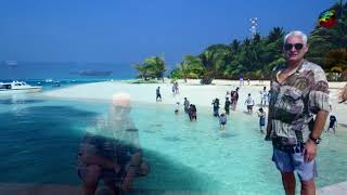 Maldives Maafushi Tour  Dolphin Stringray Nurse Shark Shipwreck Sandbank 2023 [upl. by Ingham]