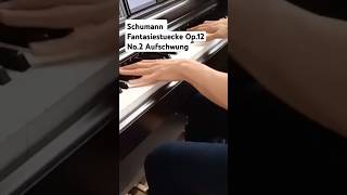 Schumann Fantasiestuecke Op122 Aufschwung schumann romanticpiano fantasy [upl. by Nancey]