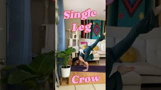 Single Leg Crow Pose  2 entries yoga yogaposes [upl. by Daniels972]