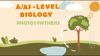 AAS Advanced Subsidiary Level  Biology  Photosynthesis [upl. by Enelyw574]