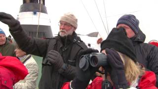 Arctic Birdspotting  Nunavut Canada [upl. by Toney194]