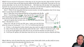 Enzyme amylase là một protein có khả năng xúc tác cho phản ứng thủy phân tinh bột Hoạt tính xúc tác [upl. by Aztiraj]