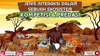 Interaksi Makhluk Hidup Dalam Sebuah Ekosistem  KOMPETISI amp PREDASI Beserta Penjelasannya  IPA [upl. by Aibos962]