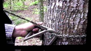 Stepp Ladderbest tree climbing system ever madegood for huntingyezzr [upl. by Elspet]