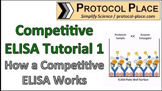 Competitive ELISA Tutorial 1 How a Competitive ELISA Works [upl. by Fayre]