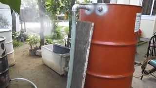 Volvariella Mushroom amp Paddy Straw Mushroom Planting Spawn Pasteurization [upl. by Sabec]