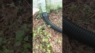 Effortless Rain Diversion Plusgutter Downspout Extensions Quick Review [upl. by Ysus]