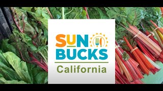 California lanza el programa de beneficios alimentarios SUN Bucks [upl. by Eissac]