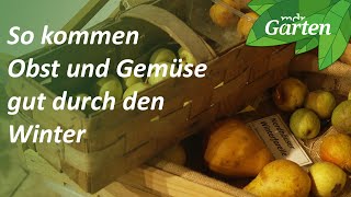 So lagern Sie Obst und Gemüse richtig  MDR Garten [upl. by Wynnie]