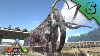 High Level Mammoth Tame  Ark Survival Evolved E6 [upl. by Wershba]