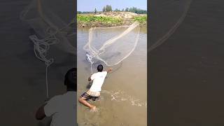 Amazing Net Fishing Village River Whit Net shorts [upl. by Eitsim239]