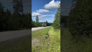 cool truck sweden trucking truckspotting [upl. by Iegres]