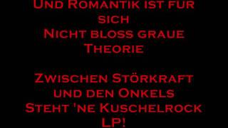 Die Ärzte  Schrei Nach Liebe with Lyrics [upl. by Neelloc436]