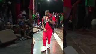 Harmonize mtaje performance serengeti music festival dodoma official video [upl. by Rimola]