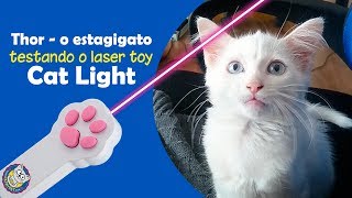 Gatinho brincando com laser toy Cat Light da Catmypet [upl. by Ocker]