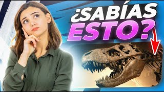 ¿Qué es la PALEONTOLOGÍA 🦕 Desenterrando los secretos de la vida antigua [upl. by Ased]