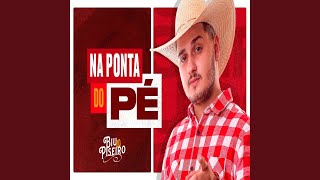 Na Ponta do Pé feat Mc Livinho [upl. by Hgierb]