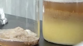 FIE3153 PRODUCTION OF BIOPLASTIC USING POTATO STARCH [upl. by Einegue]