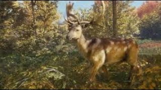 Fallow deer great one grind theHunter Call of the Wild [upl. by Rama]