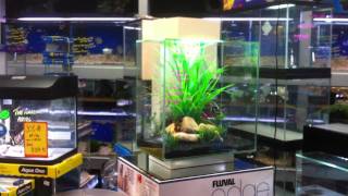 Fluval edge new 46 litre version [upl. by Lazor232]