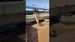 Drowning Rescue FAILS 😳 Then This Happens [upl. by Graner]