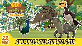 Animales del sur de Asia  Parte 1  Leo El Explorador  Animación  Familia  Niños [upl. by Bill]