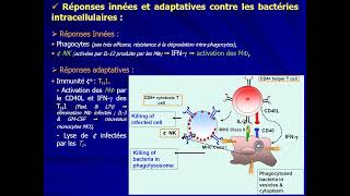 17 IMMUNOLOGIE S5  Réponses immunitaires antiinfectieuses [upl. by Tzong471]