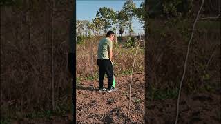 Specialized seeder for small particle seeds farming fertilizer howtogrowafricancropsabroad [upl. by Haukom]