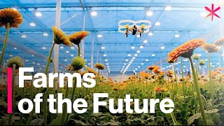 The Futuristic Farms That Will Feed the World  Freethink  Future of Food [upl. by Ajiram]