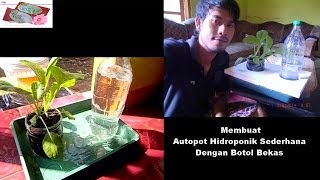 Membuat Autopot Hidroponik dari Botol Bekas [upl. by Nabetse227]