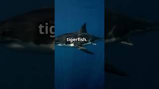 Top 5 Most Terrifying Fish in the World creative facts fishanimals shorts [upl. by Pheni]