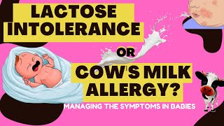 Does your Baby Have Lactose Intolerance Or Cows Milk Allergy [upl. by Iak]