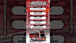 Line Up Bus Aneka Bintang Sabalong X Javas Queen X Sun Shadow busmania shorts [upl. by Annaynek]