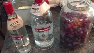 Homemade plum brandy slivovitz vodka cranberry [upl. by Ressan]