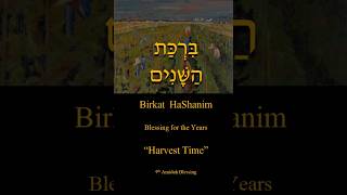 Food 9th Amidah Blessing  Birkat HaShanim  ברכת השנים [upl. by Ahsil]