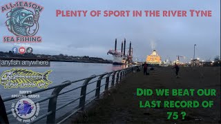 Plenty of sport in the river Tyne [upl. by Sewole]