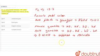 In a dihybrid cross F2 phenotypic ratio is 133 It is case of [upl. by Muller]