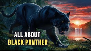 Secrets You Need to Know About Black Panthers The Big Cats of the Wild [upl. by Caye]