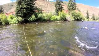 Fly Fishing the Eagle River Colorado  WYFFC 2015 [upl. by Napra]