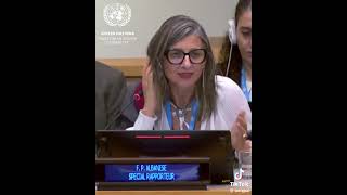 un special rapporteur takes down zionist [upl. by Terese981]