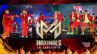 MAXIMALS  CONCIERTO OFICIAL 2024  4K [upl. by Goodspeed]