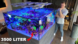 GERMAN REEF TANKS  massive saltwater aquarium 920 gallon private tour [upl. by Sivolc]