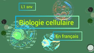 partie 02 de chapitre 01 biologie cellulaire L1 biologie 🔬🧬🧫 [upl. by Ainedrag]