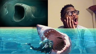 5 Most Mysterious amp Unexplained Sea Creatures REACTION [upl. by Noitsuj]