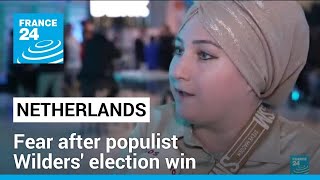 Praise and fear after Dutch populist Wilders election win • FRANCE 24 English [upl. by Gereld605]