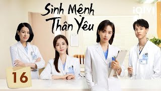 SINH MỆNH THÂN YÊU  Tập 16  Siêu Phẩm Phim Tình Cảm Trung Quốc Cực Hay  iQIYI Phim Thuyết Minh [upl. by Hall77]